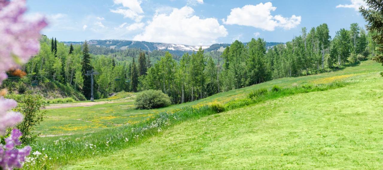 Laurelwood Condominiums 408 Snowmass Village Buitenkant foto